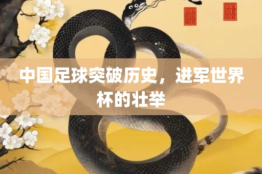 中国足球突破历史，进军世界杯的壮举
