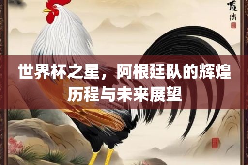世界杯之星，阿根廷队的辉煌历程与未来展望
