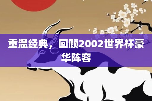 重温经典，回顾2002世界杯豪华阵容