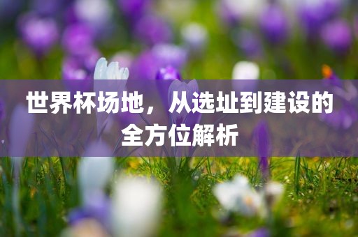 世界杯场地，从选址到建设的全方位解析