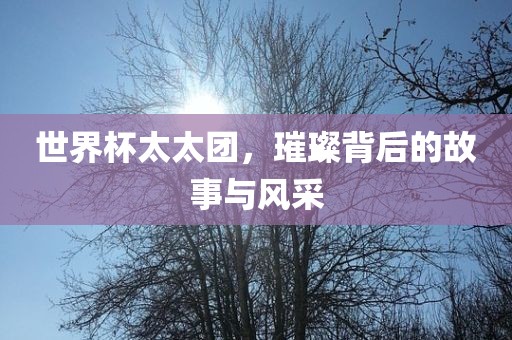 世界杯太太团，璀璨背后的故事与风采