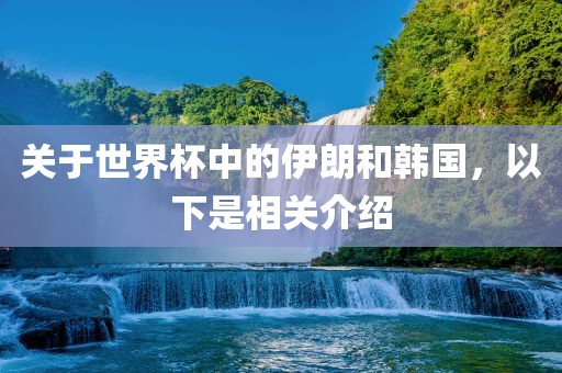 关于世界杯中的伊朗和韩国，以下是相关介绍