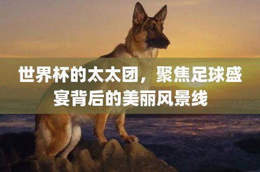 世界杯的太太团，聚焦足球盛宴背后的美丽风景线