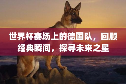 世界杯赛场上的德国队，回顾经典瞬间，探寻未来之星