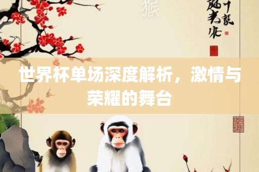 世界杯单场深度解析，激情与荣耀的舞台