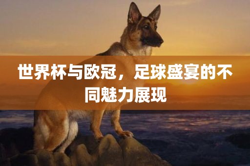 世界杯与欧冠，足球盛宴的不同魅力展现