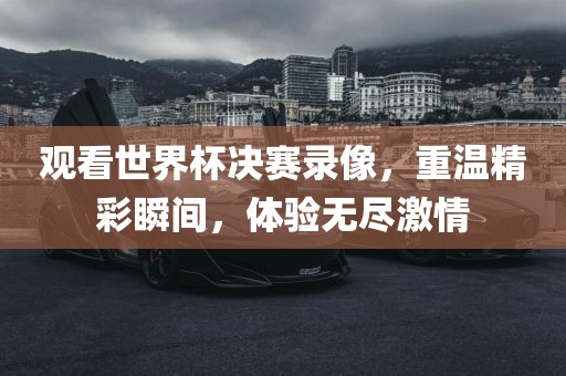 观看世界杯决赛录像，重温精彩瞬间，体验无尽激情