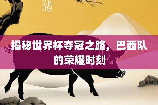 揭秘世界杯夺冠之路，巴西队的荣耀时刻