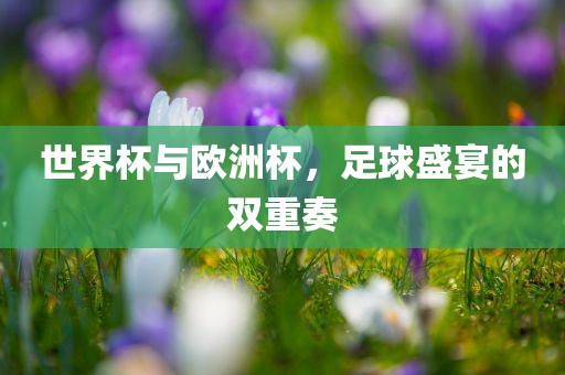 世界杯与欧洲杯，足球盛宴的双重奏