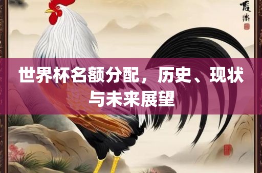 世界杯名额分配，历史、现状与未来展望