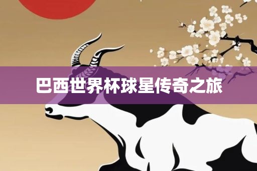 巴西世界杯球星传奇之旅