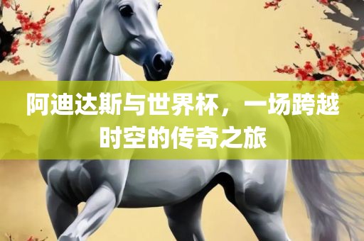 阿迪达斯与世界杯，一场跨越时空的传奇之旅