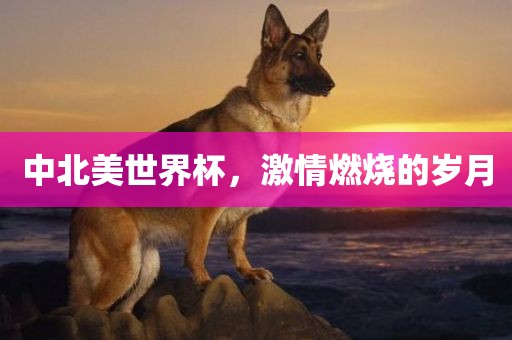 中北美世界杯，激情燃烧的岁月