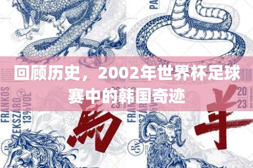 回顾历史，2002年世界杯足球赛中的韩国奇迹