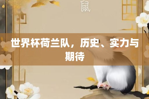世界杯荷兰队，历史、实力与期待