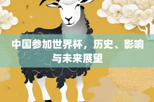 中国参加世界杯，历史、影响与未来展望