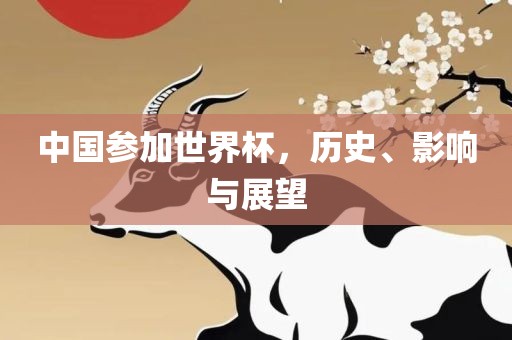 中国参加世界杯，历史、影响与展望