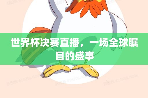 世界杯决赛直播，一场全球瞩目的盛事