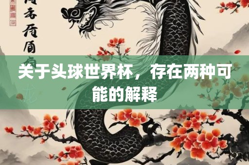 关于头球世界杯，存在两种可能的解释