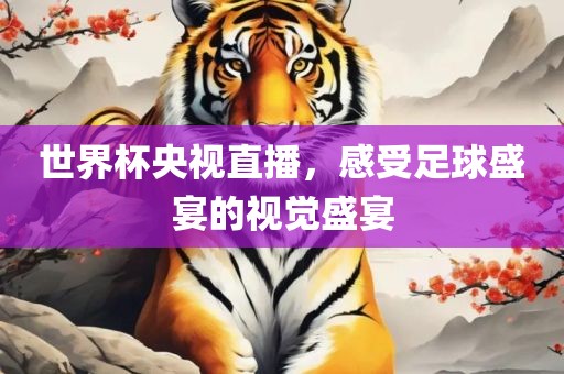 世界杯央视直播，感受足球盛宴的视觉盛宴