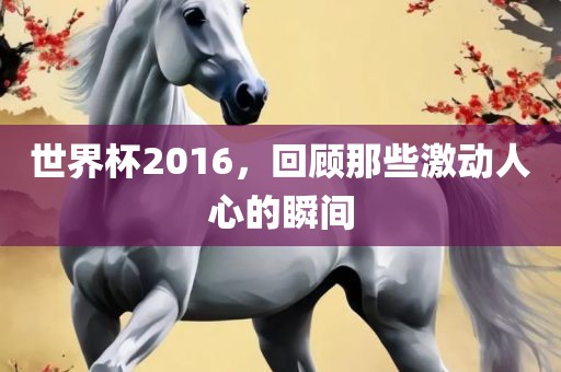 世界杯2016，回顾那些激动人心的瞬间