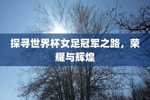 探寻世界杯女足冠军之路，荣耀与辉煌