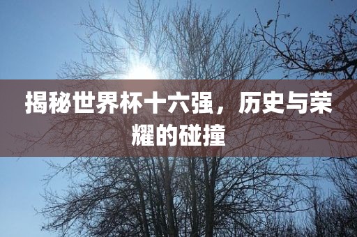 揭秘世界杯十六强，历史与荣耀的碰撞