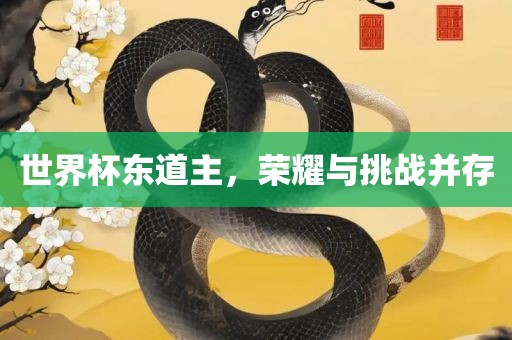 世界杯东道主，荣耀与挑战并存