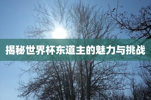 揭秘世界杯东道主的魅力与挑战