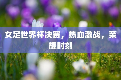 女足世界杯决赛，热血激战，荣耀时刻