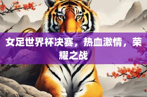 女足世界杯决赛，热血激情，荣耀之战