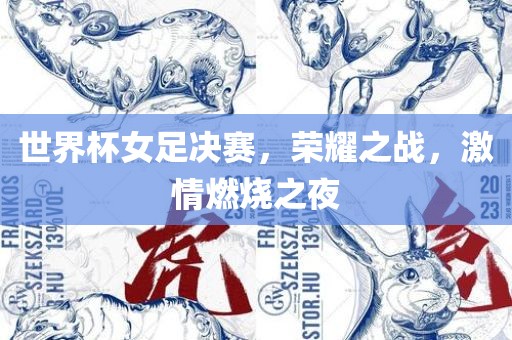 世界杯女足决赛，荣耀之战，激情燃烧之夜