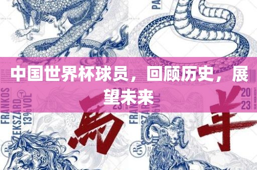 中国世界杯球员，回顾历史，展望未来