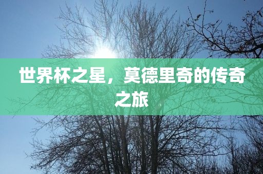 世界杯之星，莫德里奇的传奇之旅