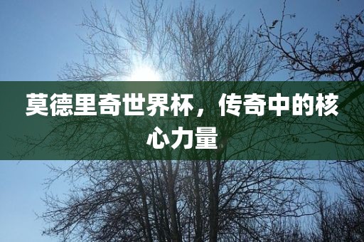 莫德里奇世界杯，传奇中的核心力量