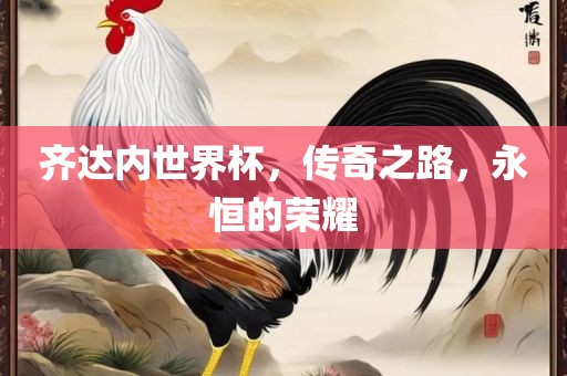 齐达内世界杯，传奇之路，永恒的荣耀