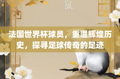 法国世界杯球员，重温辉煌历史，探寻足球传奇的足迹