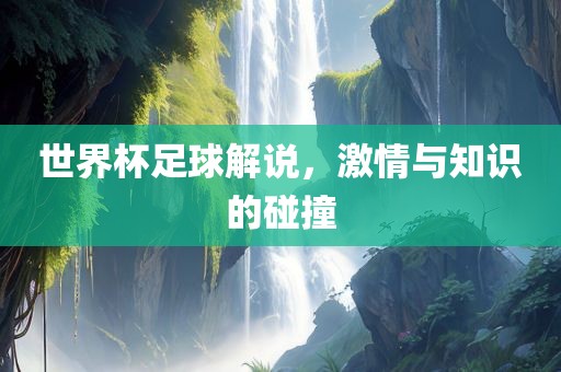 世界杯足球解说，激情与知识的碰撞