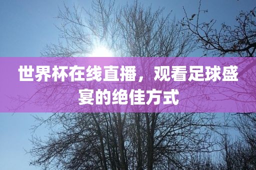 世界杯在线直播，观看足球盛宴的绝佳方式