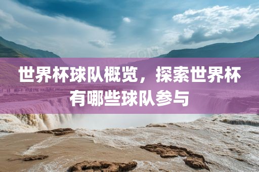 世界杯球队概览，探索世界杯有哪些球队参与
