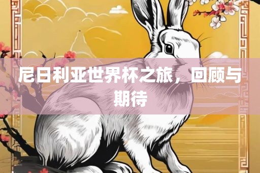 尼日利亚世界杯之旅，回顾与期待