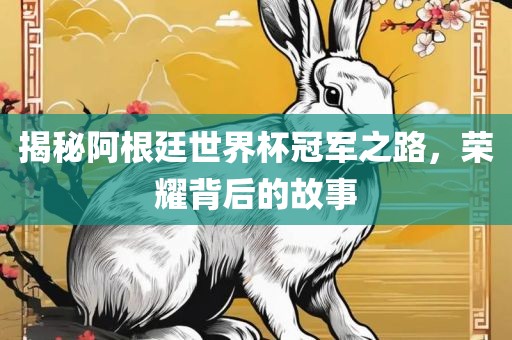 揭秘阿根廷世界杯冠军之路，荣耀背后的故事