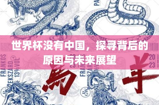 世界杯没有中国，探寻背后的原因与未来展望