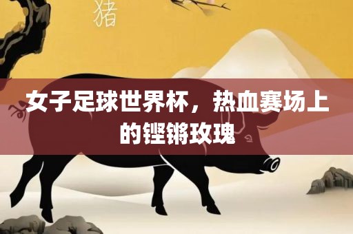 女子足球世界杯，热血赛场上的铿锵玫瑰