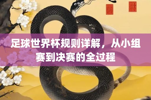足球世界杯规则详解，从小组赛到决赛的全过程