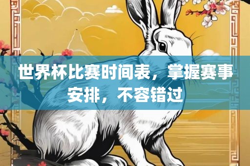 世界杯比赛时间表，掌握赛事安排，不容错过