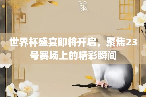 世界杯盛宴即将开启，聚焦23号赛场上的精彩瞬间