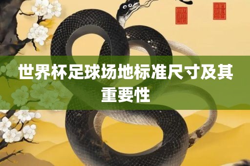 世界杯足球场地标准尺寸及其重要性