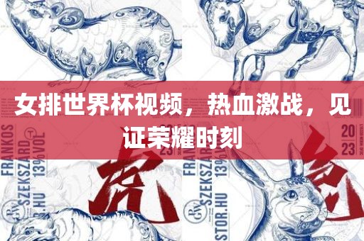 女排世界杯视频，热血激战，见证荣耀时刻