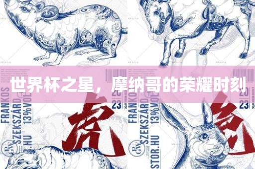 世界杯之星，摩纳哥的荣耀时刻
